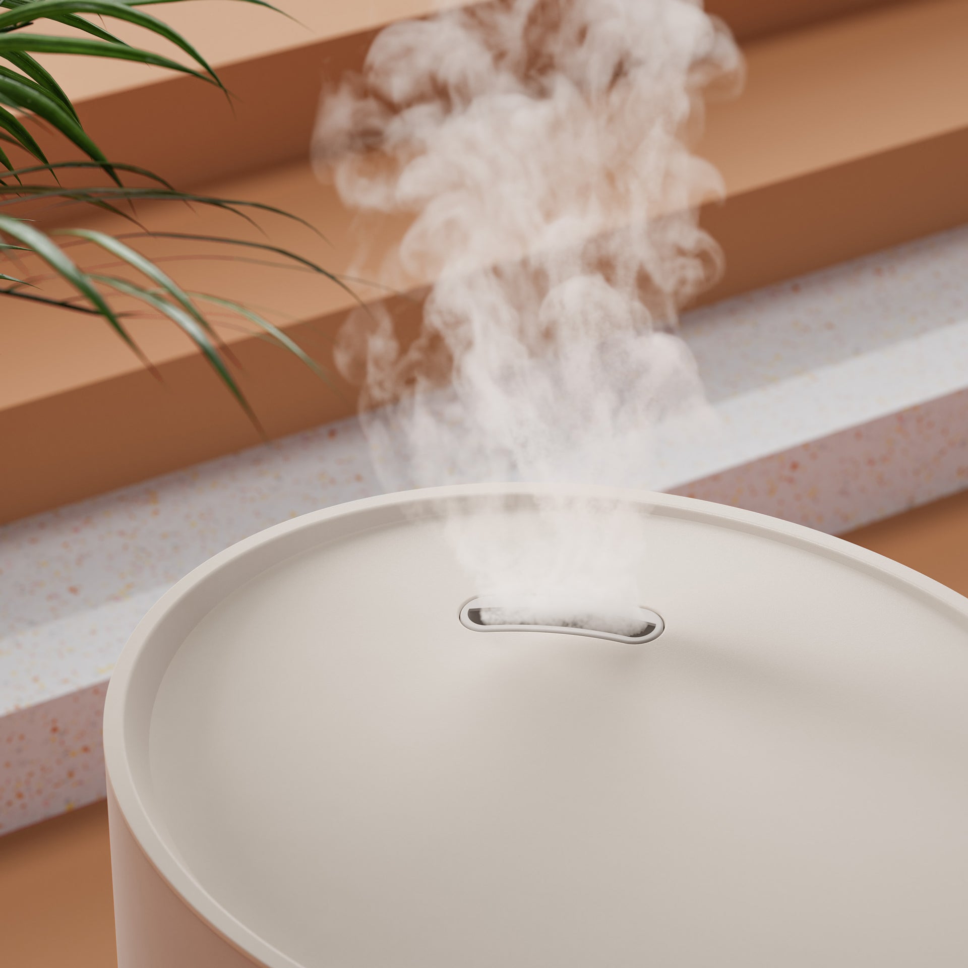 5 tips to combat dry air at home: How to improve humidity levels