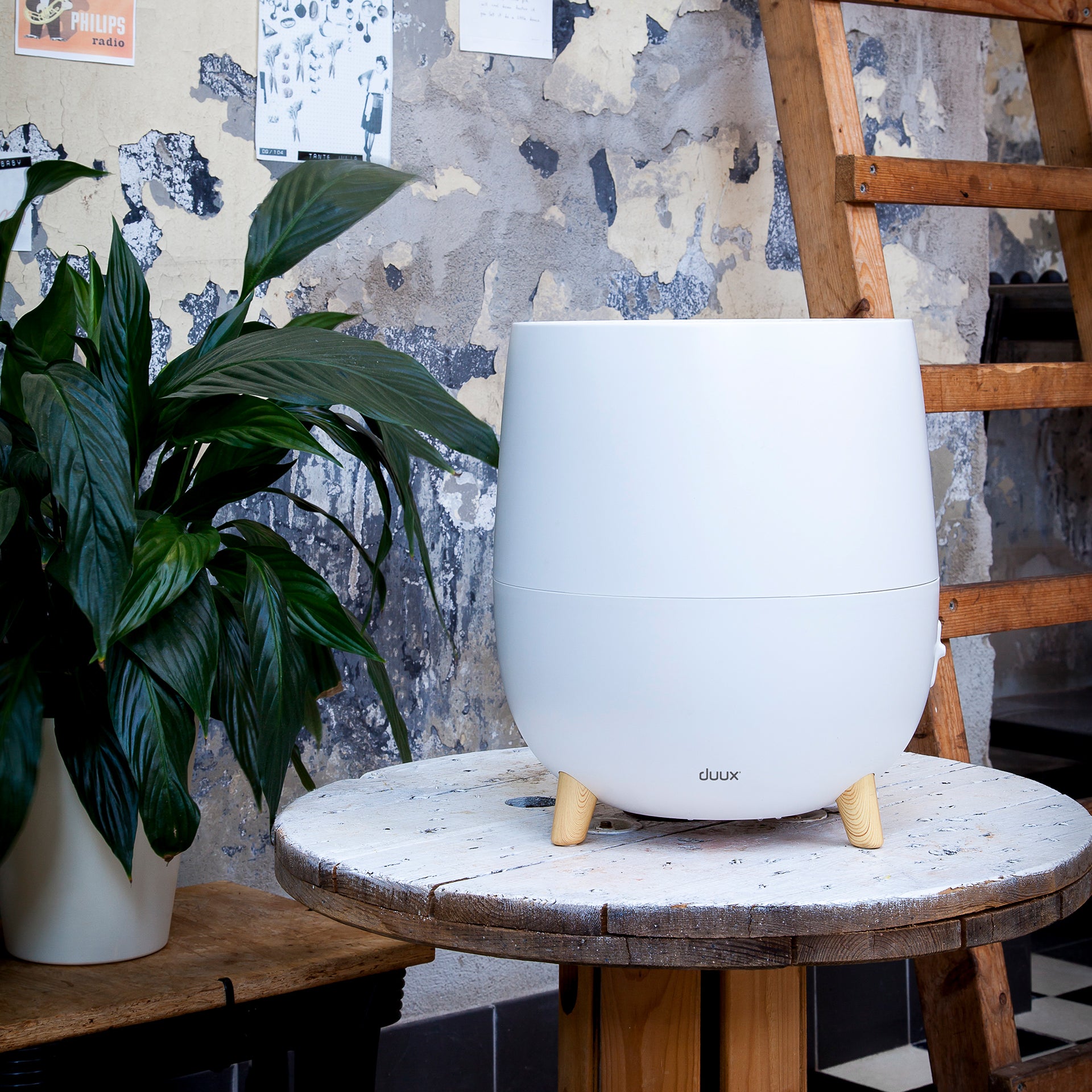 Ovi humidifier