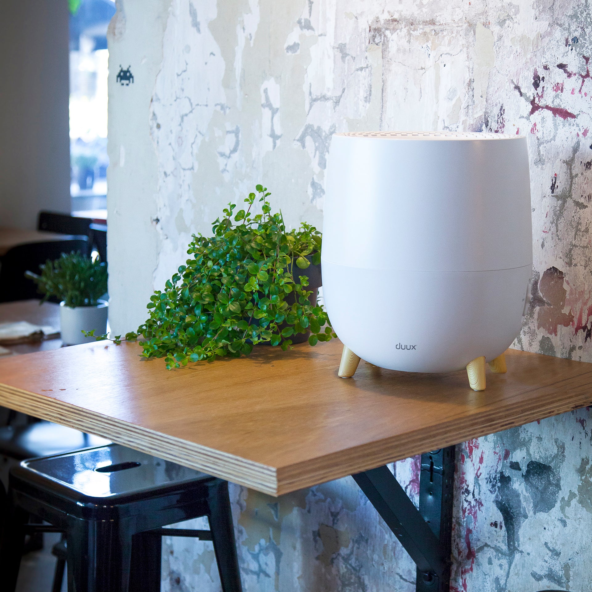 Ovi humidifier