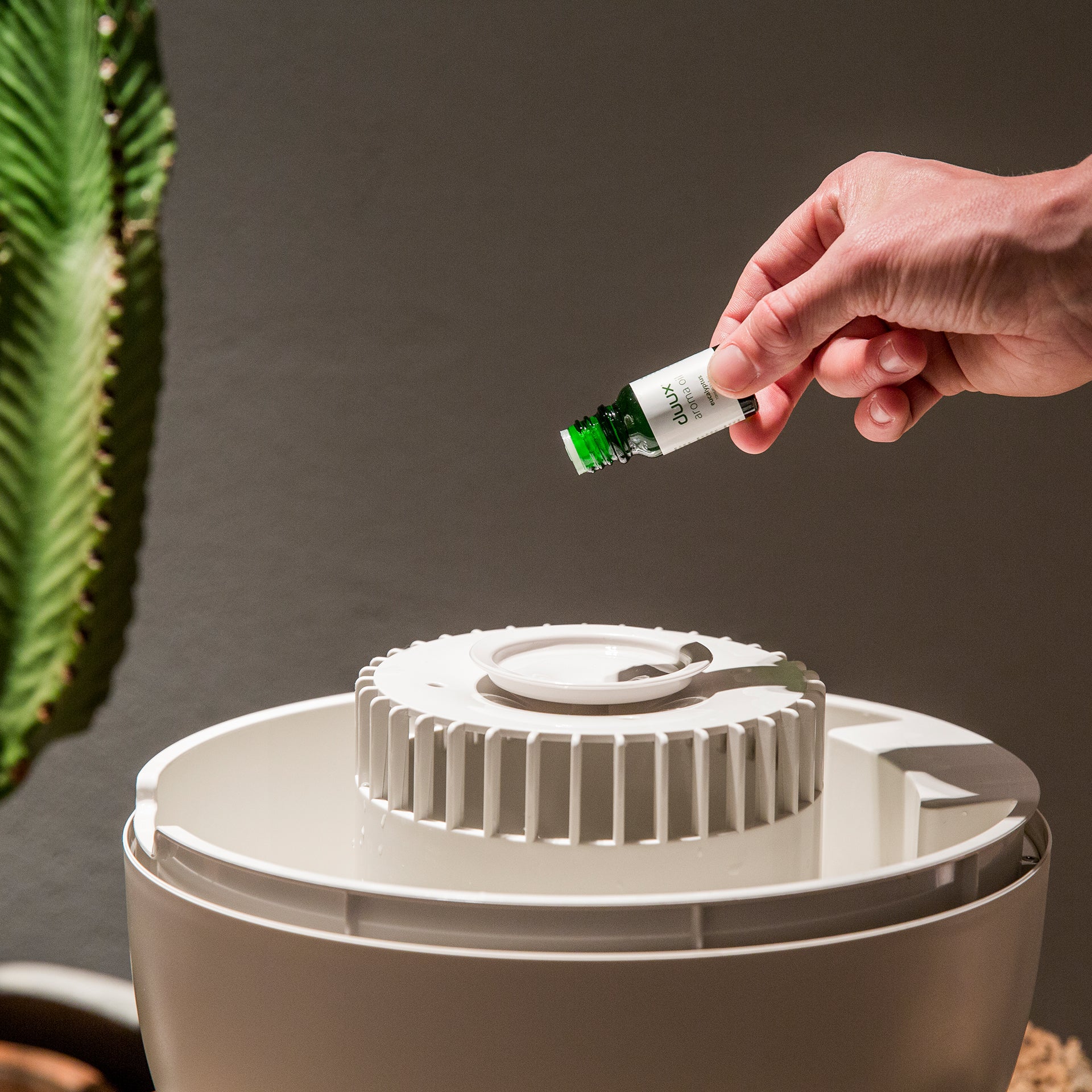 Ovi humidifier